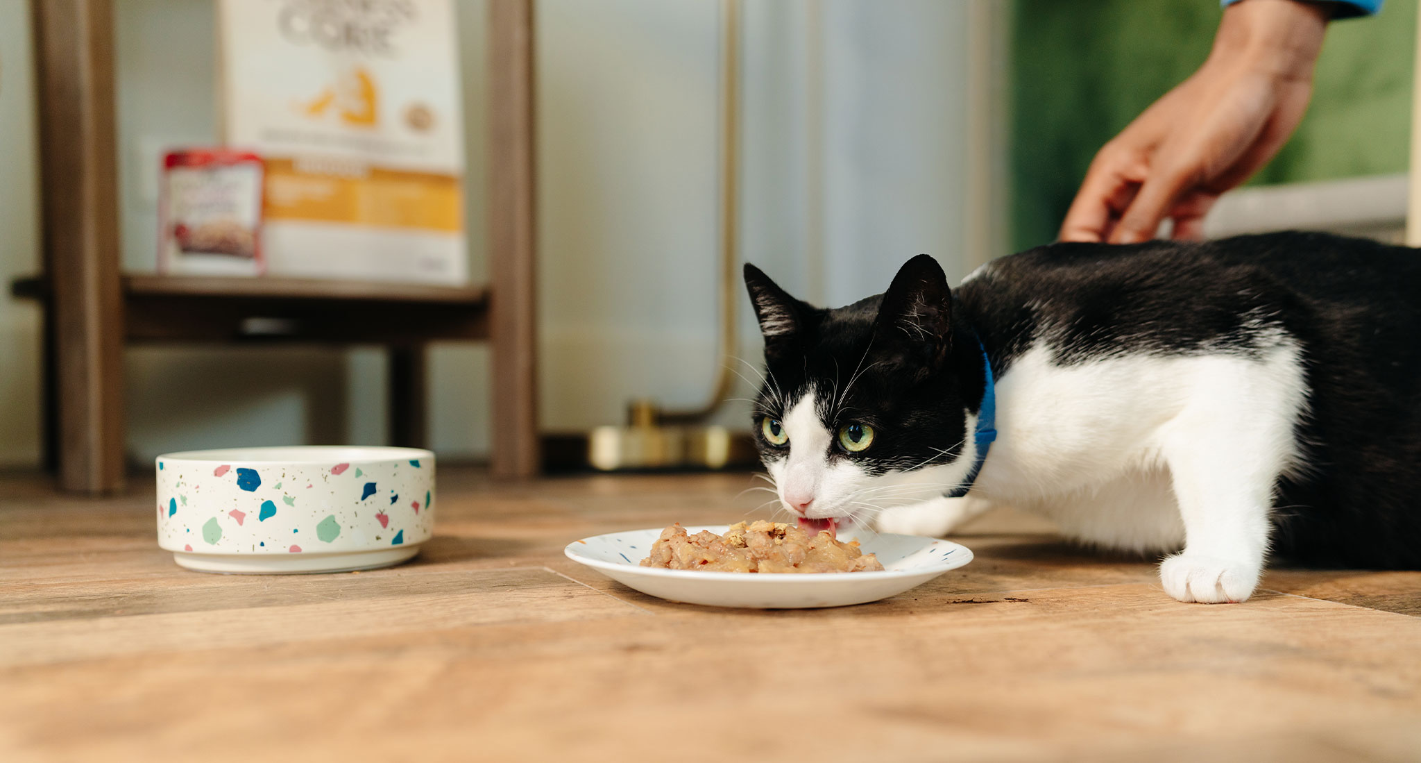 Haustierzubehör -Haustierzubehör FE@0KSMG7O8AFJM6NHNC