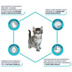 Affinity Advance Kitten Huhn Und Reis 12 Affinity Advance Kitten Huhn Und Reis -Haustierzubehör affinity advance kitten kip en rijst kat 178231 0500 none