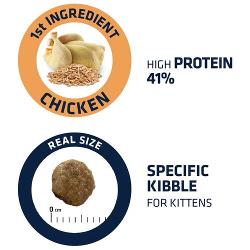 Affinity Advance Kitten Huhn Und Reis 5 Affinity Advance Kitten Huhn Und Reis – Bild 3