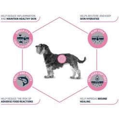 Affinity Advance Veterinary Diets Atopic Mini Hund -Haustierzubehör affinity advance veterinary diets atopic mini hond 177538 0500 none