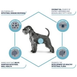 Affinity Advance Veterinary Diets Gastroenteric Hund -Haustierzubehör affinity advance veterinary diets gastroenteric hond 177655 0500 none