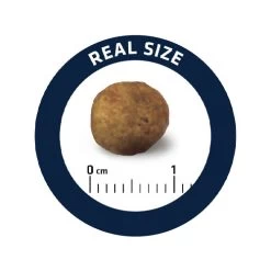 Affinity Advance Veterinary Diets Gastroenteric Hund -Haustierzubehör affinity advance veterinary diets gastroenteric hond 177679 0500 none