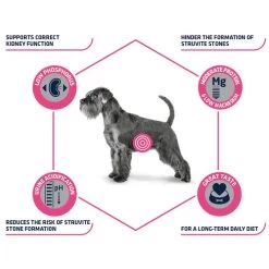 Affinity Advance Veterinary Diets Urinary Hund -Haustierzubehör affinity advance veterinary diets urinary hond 177715 0500 none