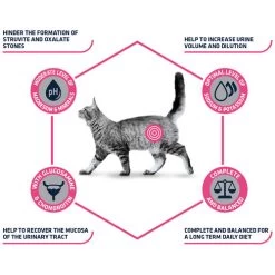 Affinity Advance Veterinary Diets Urinary Katze -Haustierzubehör affinity advance veterinary diets urinary kat 176905 0500 none