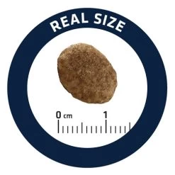 Affinity Advance Veterinary Diets Urinary Katze -Haustierzubehör affinity advance veterinary diets urinary kat 176911 0500 none