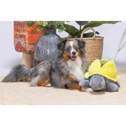 Beeztees Hide And Seek Schildo 8 Beeztees Hide And Seek Schildo -Haustierzubehör beeztees hide and seek schildo 221787 0500 none