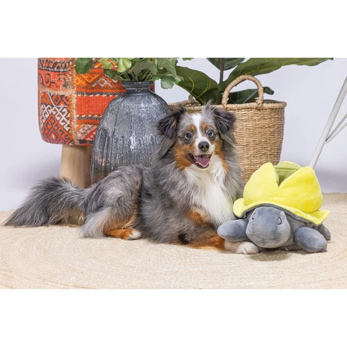 Beeztees Hide And Seek Schildo 5 Beeztees Hide And Seek Schildo – Bild 3