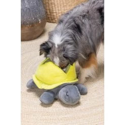 Beeztees Hide And Seek Schildo 9 Beeztees Hide And Seek Schildo -Haustierzubehör beeztees hide and seek schildo 221788 0500 none