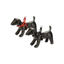 Beeztees Parinca Premium Comfort Hundegeschirr