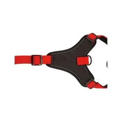 Beeztees Parinca Premium Y-Geschirr 12 Beeztees Parinca Premium Y-Geschirr -Haustierzubehör beeztees parinca premium y tuig 199589 0500 none