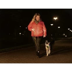 Beeztees Safety Gear Parinca Premium Halsband 17 Beeztees Safety Gear Parinca Premium Halsband -Haustierzubehör beeztees safety gear parinca premium halsband 215009 0500 none