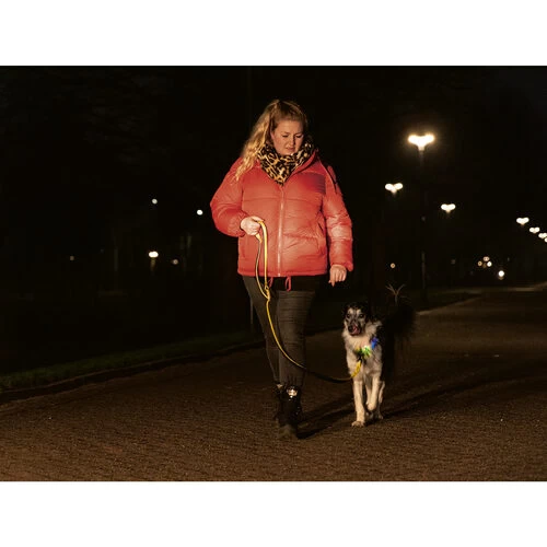 Beeztees Safety Gear Parinca Premium Halsband 10 Beeztees Safety Gear Parinca Premium Halsband – Bild 8