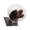 Buster Transparent Classic Collar -Haustierzubehör buster transparent classic collar 135118 0500 none