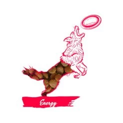 Calibra Dog Expert Nutrition Energy -Haustierzubehör calibra dog expert nutrition energy 163534 0500 none