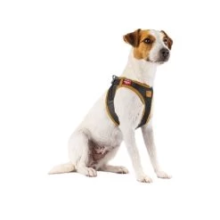 Curli Vegan Apple Leather Geschirr -Haustierzubehör curli harnas vegan appelleer 216631 0500 none