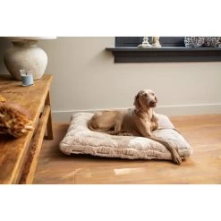 Designed By Lotte Xanti Hundekissen 8 Designed By Lotte Xanti Hundekissen -Haustierzubehör designed by lotte xanti hondenkussen 188127 0500 none