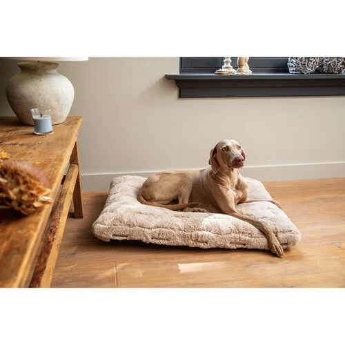 Designed By Lotte Xanti Hundekissen 5 Designed By Lotte Xanti Hundekissen – Bild 3