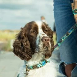 DWAM Halsband Boho Juan -Haustierzubehör dwam halsband boho juan 133658 0500 none