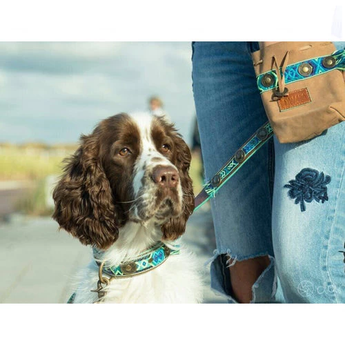 DWAM Hundeleine Boho Juan 4 DWAM Hundeleine Boho Juan – Bild 2