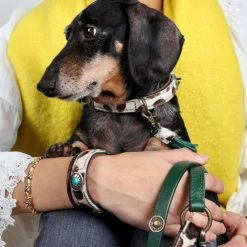 DWAM Hundeleine Ivy -Haustierzubehör dwam hondenriem ivy 180697 0500 none