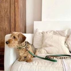 DWAM Hundeleine Ivy -Haustierzubehör dwam hondenriem ivy 180700 0500 none