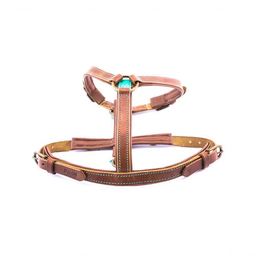 DWAM Hundegeschirr Boho Juan 4 DWAM Hundegeschirr Boho Juan – Bild 2