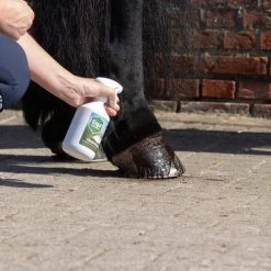 Equi Protecta Huf-Spray 6 Equi Protecta Huf-Spray -Haustierzubehör equi protecta hoevenspray 161270 0500 none