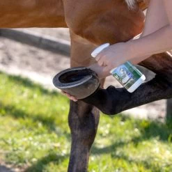 Equi Protecta Huf-Spray 7 Equi Protecta Huf-Spray -Haustierzubehör equi protecta hoevenspray 161273 0500 none