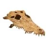 Exo Terra Krokodilschädel -Haustierzubehör exo terra krokodillenschedel 111391 0500 none