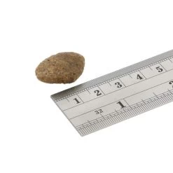 Haustierzubehör -Haustierzubehör fish4dogs finest adult complete witvis grote brok 160916 0500 none