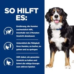 Hill's Metabolic + Mobility - Prescription Diet - Canine 12 Hill's Metabolic + Mobility - Prescription Diet - Canine -Haustierzubehör hills metabolic mobility prescription diet canine 212783 0500 none