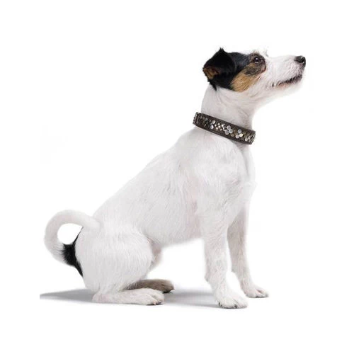 Hunter Halsband Arizona 4 Hunter Halsband Arizona – Bild 2