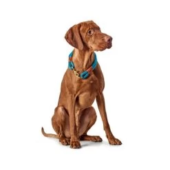 Hunter Halsband Oss -Haustierzubehör hunter halsband oss 116343 0500 none