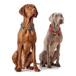 Hunter Halsband Oss -Haustierzubehör hunter halsband oss 146099 0500 none