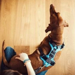 Hunter Geschirr Divo Dunkelblau/Grau 14 Hunter Geschirr Divo Dunkelblau/Grau -Haustierzubehör hunter harnas divo donkerblauwgrijs 166903 0500 none