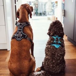 Hunter Geschirr Divo Dunkelblau/Grau 15 Hunter Geschirr Divo Dunkelblau/Grau -Haustierzubehör hunter harnas divo donkerblauwgrijs 166906 0500 none