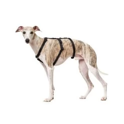 Hunter Vario Rapid Sicherheitsgeschirr - Schwarz -Haustierzubehör hunter vario rapid veiligheidsharnas zwart 169501 0500 none