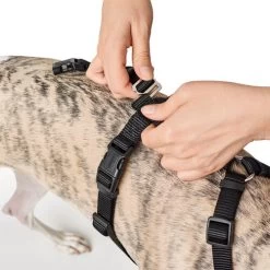 Hunter Vario Rapid Sicherheitsgeschirr - Schwarz -Haustierzubehör hunter vario rapid veiligheidsharnas zwart 169504 0500 none