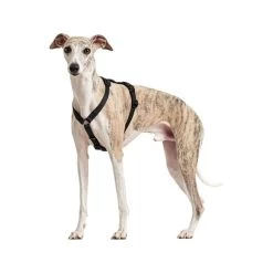 Hunter Vario Rapid Sicherheitsgeschirr - Schwarz -Haustierzubehör hunter vario rapid veiligheidsharnas zwart 169507 0500 none