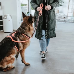 Hunter Sicherheitsgeschirr Maldon 22 Hunter Sicherheitsgeschirr Maldon -Haustierzubehör hunter veiligheidsharnas maldon 221557 0500 none