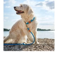 Hunter Verstellbare Führleine Oss -Haustierzubehör hunter verstelbare riem oss 116580 0500 none