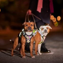 Hurtta - Geschirr Weekend Warrior - Neon Licorice -Haustierzubehör hurtta weekend warrior harnas neon licorice 216598 0500 none