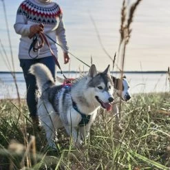 Hurtta - Geschirr Weekend Warrior Winter - Bilberry -Haustierzubehör hurtta weekend warrior winter harnas bilberry 216605 0500 none