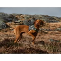 Hurtta Go Geschirr Storm Grey -Haustierzubehör hurtta go harness storm grey 201305 0500 none