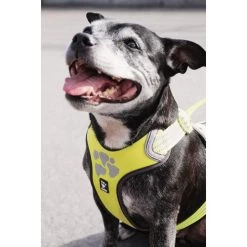 Hurtta Weekend Warrior Geschirr -Haustierzubehör hurtta weekend warrior harness 189093 0500 none