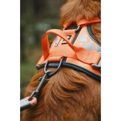 Hurtta Weekend Warrior Geschirr -Haustierzubehör hurtta weekend warrior harness 189096 0500 none