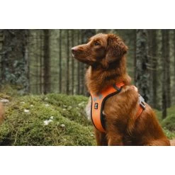 Hurtta Weekend Warrior Geschirr -Haustierzubehör hurtta weekend warrior harness 189108 0500 none