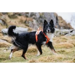 Hurtta Weekend Warrior Geschirr -Haustierzubehör hurtta weekend warrior harness 189123 0500 none
