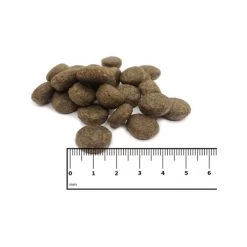 ICEPAW Scandic Duck -Haustierzubehör icepaw scandic duck 221035 0500 none