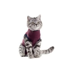 Jacketz Medical Body Suit Für Katzen -Haustierzubehör jacketz medical body suit kat 154129 0500 none